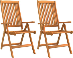 vidaXL - Tuinstoelen - 2 - st - inklapbaar - massief - eucalyptushout