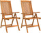 vidaXL - Tuinstoelen - 2 - st - inklapbaar - massief - eucalyptushout