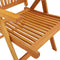 vidaXL - Tuinstoelen - 2 - st - inklapbaar - massief - eucalyptushout