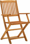 vidaXL - Tuinstoelen - 2 - st - inklapbaar - massief - eucalyptushout
