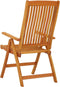 vidaXL - Tuinstoelen - 2 - st - inklapbaar - massief - eucalyptushout