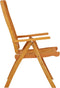 vidaXL - Tuinstoelen - 2 - st - inklapbaar - massief - eucalyptushout