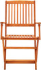 vidaXL - Tuinstoelen - 2 - st - inklapbaar - massief - eucalyptushout