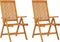 vidaXL - Tuinstoelen - 2 - st - inklapbaar - massief - eucalyptushout