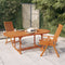 vidaXL - Tuinstoelen - 2 - st - inklapbaar - massief - eucalyptushout
