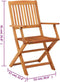 vidaXL - Tuinstoelen - 2 - st - inklapbaar - massief - eucalyptushout