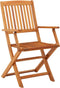 vidaXL - Tuinstoelen - 2 - st - inklapbaar - massief - eucalyptushout