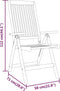 vidaXL - Tuinstoelen - 2 - st - inklapbaar - massief - eucalyptushout
