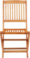 vidaXL - Tuinstoelen - 2 - st - inklapbaar - massief - eucalyptushout