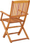 vidaXL - Tuinstoelen - 2 - st - inklapbaar - massief - eucalyptushout