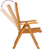 vidaXL - Tuinstoelen - 2 - st - inklapbaar - massief - eucalyptushout