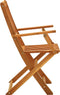 vidaXL - Tuinstoelen - 2 - st - inklapbaar - massief - eucalyptushout