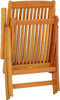 vidaXL - Tuinstoelen - 2 - st - inklapbaar - massief - eucalyptushout