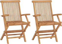 vidaXL - Tuinstoelen - 2 - st - inklapbaar - massief - teakhout