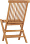 vidaXL - Tuinstoelen - 2 - st - inklapbaar - massief - teakhout