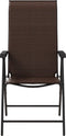 vidaXL - Tuinstoelen - 2 - st - inklapbaar - poly - rattan - bruin