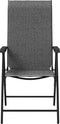 vidaXL - Tuinstoelen - 2 - st - inklapbaar - poly - rattan - grijs