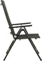 vidaXL - Tuinstoelen - 2 - st - inklapbaar - textileen - aluminium - zwart
