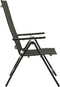 vidaXL - Tuinstoelen - 2 - st - inklapbaar - textileen - aluminium - zwart