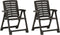 vidaXL - Tuinstoelen - 2 - st - kunststof - antraciet