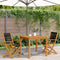 vidaXL - Tuinstoelen - 2 - st - massief - acaciahout - en - polypropeen - zwart
