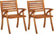 vidaXL - Tuinstoelen - 2 - st - massief - acaciahout
