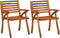 vidaXL - Tuinstoelen - 2 - st - massief - acaciahout