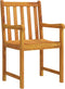 vidaXL - Tuinstoelen - 2 - st - massief - acaciahout