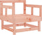 vidaXL - Tuinstoelen - 2 - st - massief - douglashout
