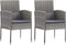 vidaXL - Tuinstoelen - 2 - st - met - donkergrijze - kussens - poly - rattan - grijs