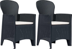 vidaXL - Tuinstoelen - 2 - st - met - kussen - rattan-look - kunststof - antraciet