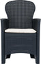 vidaXL - Tuinstoelen - 2 - st - met - kussen - rattan-look - kunststof - antraciet