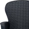 vidaXL - Tuinstoelen - 2 - st - met - kussen - rattan-look - kunststof - antraciet