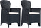 vidaXL - Tuinstoelen - 2 - st - met - kussen - rattan-look - kunststof - antraciet