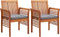 vidaXL - Tuinstoelen - 2 - st - met - kussens - massief - acaciahout