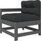 vidaXL - Tuinstoelen - 2 - st - met - kussens - massief - grenenhout - grijs
