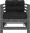 vidaXL - Tuinstoelen - 2 - st - met - kussens - massief - grenenhout - grijs