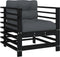 vidaXL - Tuinstoelen - 2 - st - met - kussens - massief - grenenhout - zwart