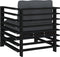 vidaXL - Tuinstoelen - 2 - st - met - kussens - massief - grenenhout - zwart