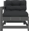 vidaXL - Tuinstoelen - 2 - st - met - kussens - massief - grenenhout - grijs