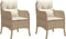 vidaXL - Tuinstoelen - 2 - st - met - kussens - poly - rattan - beige
