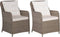 vidaXL - Tuinstoelen - 2 - st - met - kussens - poly - rattan - bruin