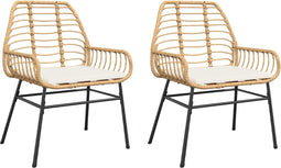 vidaXL - Tuinstoelen - 2 - st - met - kussens - poly - rattan - bruin