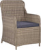 vidaXL - Tuinstoelen - 2 - st - met - kussens - poly - rattan - bruin