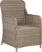 vidaXL - Tuinstoelen - 2 - st - met - kussens - poly - rattan - bruin
