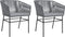 vidaXL - Tuinstoelen - 2 - st - met - kussens - poly - rattan - grijs
