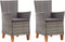 vidaXL - Tuinstoelen - 2 - st - met - kussens - poly - rattan - grijs