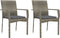 vidaXL - Tuinstoelen - 2 - st - met - kussens - poly - rattan - grijs