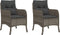 vidaXL - Tuinstoelen - 2 - st - met - kussens - poly - rattan - grijs