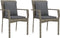 vidaXL - Tuinstoelen - 2 - st - met - kussens - poly - rattan - grijs